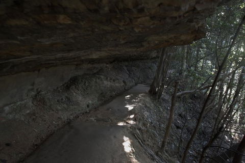Inside The Greater Blue Mountains World Heritage - A Private Wildlife Safari Overnight - Accommodation Rockhampton 45