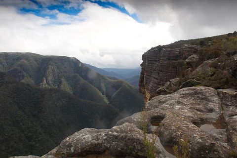 Inside The Greater Blue Mountains World Heritage - A Private Wildlife Safari Overnight - Accommodation Rockhampton 47