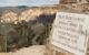 Inside The Greater Blue Mountains World Heritage - A Private Wildlife Safari Overnight - thumb 42