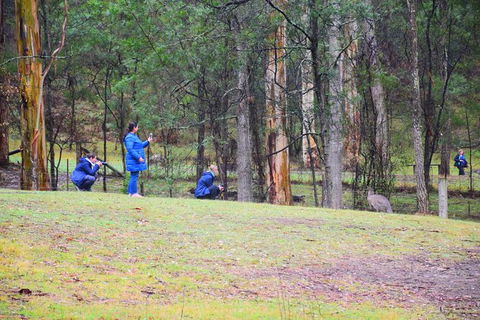 Inside The Greater Blue Mountains World Heritage - A Private Wildlife Safari Overnight - Accommodation Rockhampton 39