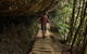 Inside The Greater Blue Mountains World Heritage - A Private Wildlife Safari Overnight - thumb 17