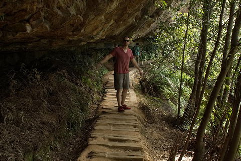 Inside The Greater Blue Mountains World Heritage - A Private Wildlife Safari Overnight - Accommodation Rockhampton 17