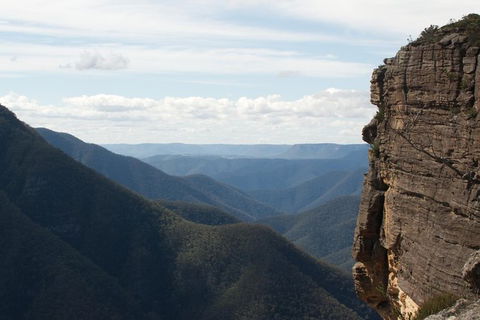 Inside The Greater Blue Mountains World Heritage - A Private Wildlife Safari Overnight - Accommodation Rockhampton 6