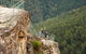 Inside The Greater Blue Mountains World Heritage - A Private Wildlife Safari Overnight - thumb 32