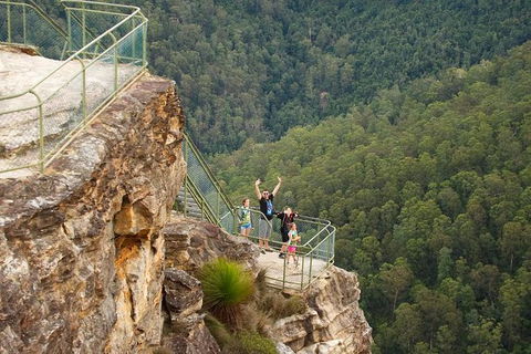 Inside The Greater Blue Mountains World Heritage - A Private Wildlife Safari Overnight - Accommodation Rockhampton 32