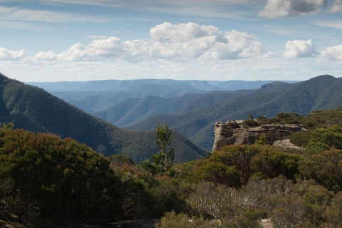 Inside The Greater Blue Mountains World Heritage - A Private Wildlife Safari Overnight - Accommodation Rockhampton 30