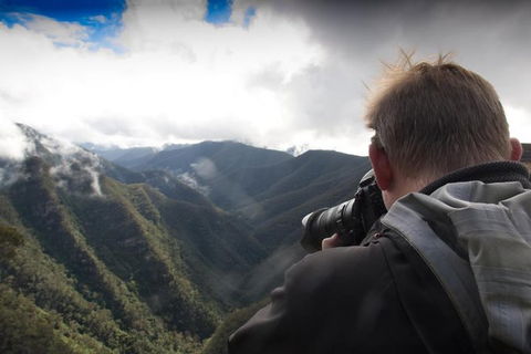 Inside The Greater Blue Mountains World Heritage - A Private Wildlife Safari Overnight - Accommodation Rockhampton 44