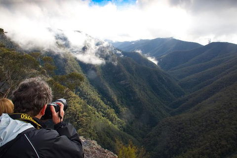 Inside The Greater Blue Mountains World Heritage - A Private Wildlife Safari Overnight - Accommodation Rockhampton 11