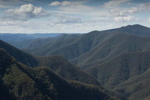 Inside The Greater Blue Mountains World Heritage - A Private Wildlife Safari Overnight - Accommodation Rockhampton 48