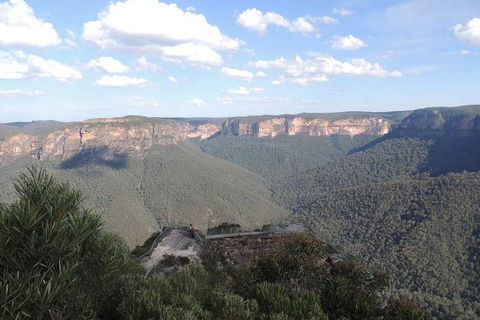 Inside The Greater Blue Mountains World Heritage - A Private Wildlife Safari Overnight - Accommodation Rockhampton 24