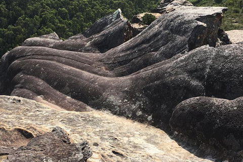 Inside The Greater Blue Mountains World Heritage - A Private Wildlife Safari Overnight - Accommodation Rockhampton 28