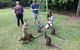 Small Group Blue Mountains Day Tour From Sydney - thumb 1