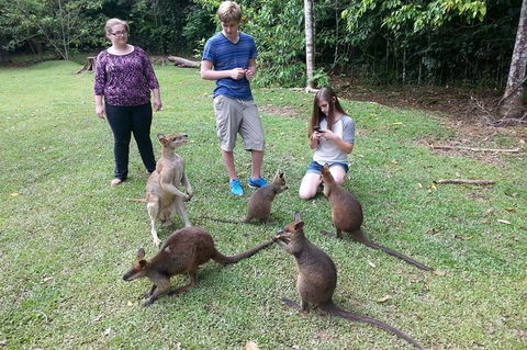 Small Group Blue Mountains Day Tour From Sydney - Accommodation Rockhampton 1