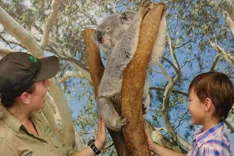 Small Group Blue Mountains Day Tour From Sydney - Accommodation Rockhampton 4