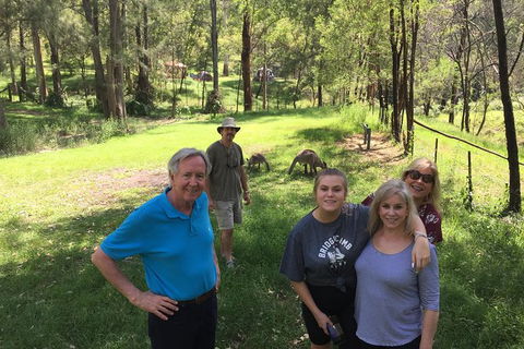Small Group Blue Mountains Day Tour From Sydney - Accommodation Rockhampton 9