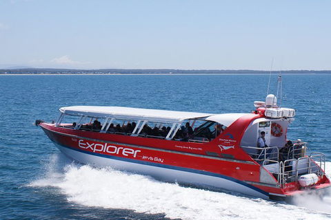 Whale Watching Jervis Bay - Accommodation Rockhampton 5