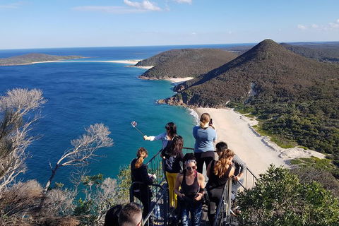 Port Stephens Beach Day Trip From Sydney Including Barbecue Lunch - Accommodation Rockhampton 0