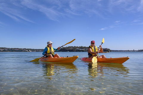 Beginner\'s Kayak Tour In Sydney - Gorgeous Aussie Beaches And Bays - Accommodation Rockhampton 7