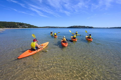 Beginner\'s Kayak Tour In Sydney - Gorgeous Aussie Beaches And Bays - Accommodation Rockhampton 5