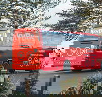 SkyBus Byron Bay Express - Accommodation Rockhampton