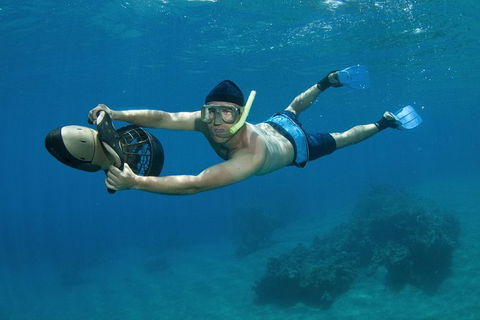 Sydney Underwater Scooter Experience - Accommodation Rockhampton 1