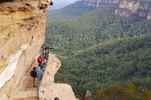 Hike Into The Wild Blue Mountains - Accommodation Rockhampton 0