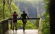 Minyon Falls Rainforest Walk - thumb 5