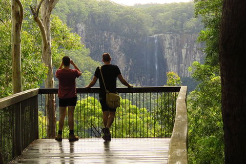 Minyon Falls Rainforest Walk - Accommodation Rockhampton 5