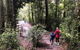 Private Guided Tour From Sydney To Blue Mountains National Park - thumb 7