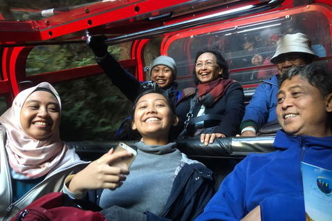Private Guided Tour From Sydney To Blue Mountains National Park - Accommodation Rockhampton 4