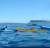 Whale Watching by Sea Kayak in Batemans Bay - Accommodation Rockhampton