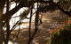 Private Luxury Quintessential Sydney Day Tour - thumb 3
