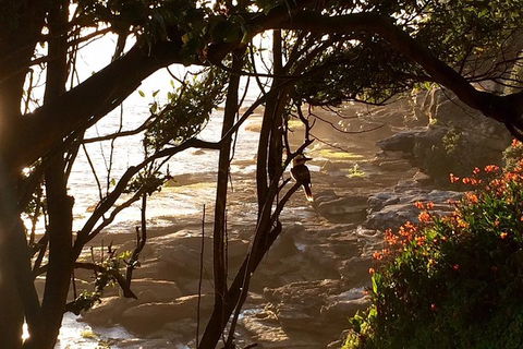 Private Luxury Quintessential Sydney Day Tour - Accommodation Rockhampton 3