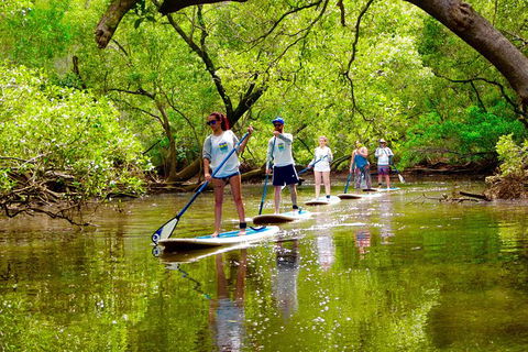 Byron Stand Up Paddle Nature Tour - Accommodation Rockhampton 0