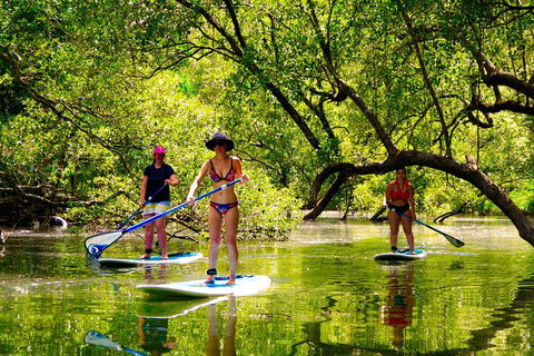 Byron Stand Up Paddle Nature Tour - Accommodation Rockhampton 4
