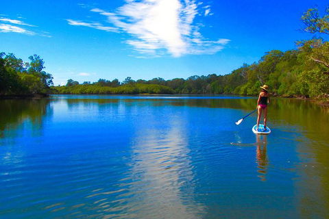 Byron Stand Up Paddle Nature Tour - Accommodation Rockhampton 5