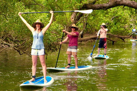 Byron Stand Up Paddle Nature Tour - Accommodation Rockhampton 7