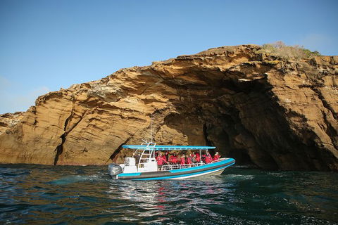 Hunter Coastal Adventure Tour By Boat From Newcastle - Accommodation Rockhampton 0