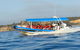 Hunter Coastal Adventure Tour By Boat From Newcastle - thumb 3