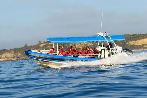 Hunter Coastal Adventure Tour By Boat From Newcastle - Accommodation Rockhampton 3