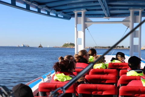 Hunter Coastal Adventure Tour By Boat From Newcastle - Accommodation Rockhampton 4
