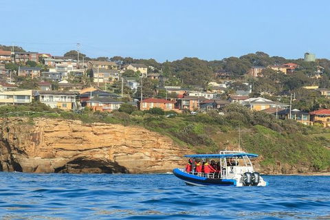 Hunter Coastal Adventure Tour By Boat From Newcastle - Accommodation Rockhampton 5