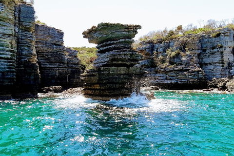 Jervis Bay Passage Tour - Accommodation Rockhampton 15