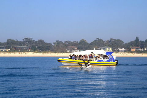 Jervis Bay Passage Tour - Accommodation Rockhampton 16