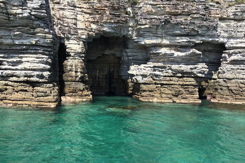 Jervis Bay Passage Tour - Accommodation Rockhampton 13