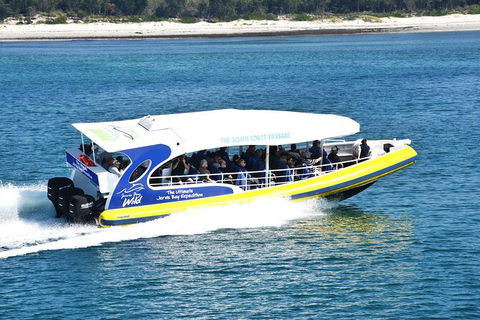 Jervis Bay Passage Tour - Accommodation Rockhampton 11