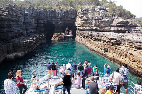 Jervis Bay Passage Tour - Accommodation Rockhampton 3