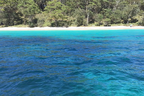 Jervis Bay Passage Tour - Accommodation Rockhampton 5