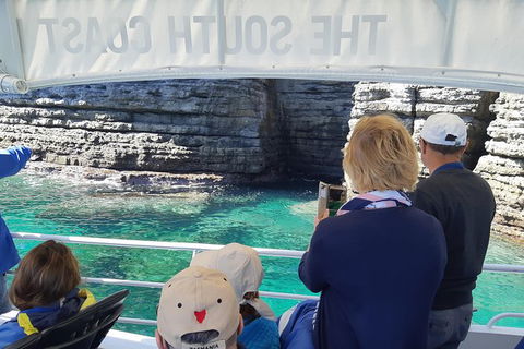 Jervis Bay Passage Tour - Accommodation Rockhampton 7