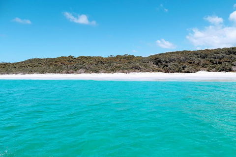 Jervis Bay Passage Tour - Accommodation Rockhampton 10
